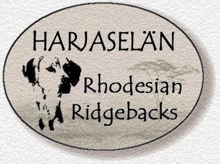 Harjaseln Rhodesian Ridgebacks